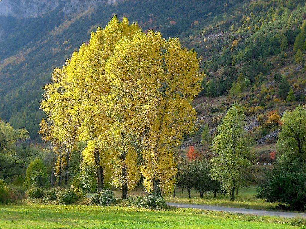 Chambres D'Hotes La Pierre D'Oran LʼArgentière-la-Bessée Esterno foto